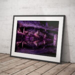 Caves at Cheddar Gorge