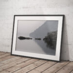 Cormorants in the mist